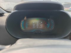 Chery Ant Youth Edition 251km True Love Edition 25.05kWh - ფოტო 14