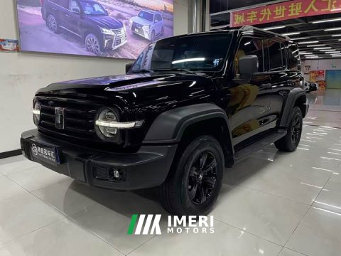 2024 Tank 300 2.0T Conqueror - ავტომობილი ჩინეთიდან