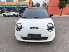 Changan Lumin 2023 301km Honey Fragrance Edition - ფოტო 2