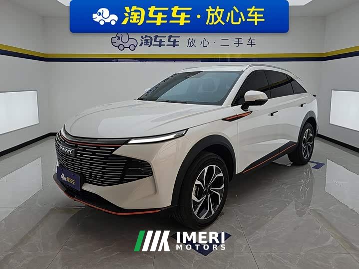 Haval Divine Beast 2022 1.5T Smart Enjoy Edition - ავტომობილი ჩინეთიდან