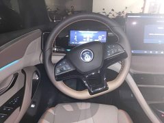BYD Song Pro New Energy 2023 Champion Edition DM-i 110KM Excellence - ფოტო 6