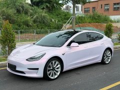 Tesla Model 3 Standard Range RWD Upgrade - ფოტო 1