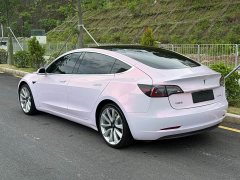 Tesla Model 3 Standard Range RWD Upgrade - ფოტო 4