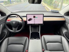 Tesla Model 3 Standard Range RWD Upgrade - ფოტო 8