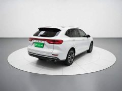 Haval M6 PLUS 1.5T DCT Elite Smart Connected Edition - ფოტო 4