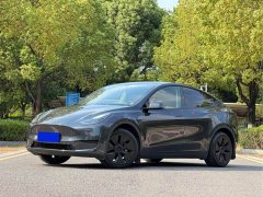 Tesla Model Y 2023 Rear-Wheel Drive - ფოტო 1