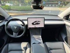 Tesla Model Y 2023 Rear-Wheel Drive - ფოტო 10
