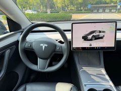 Tesla Model Y 2023 Rear-Wheel Drive - ფოტო 11