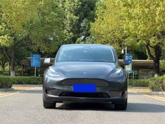 Tesla Model Y 2023 Rear-Wheel Drive - ფოტო 2