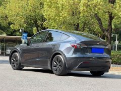 Tesla Model Y 2023 Rear-Wheel Drive - ფოტო 4