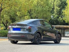 Tesla Model Y 2023 Rear-Wheel Drive - ფოტო 6