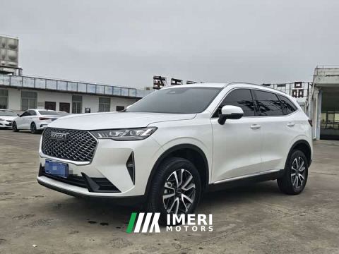 2023 Haval H6 Third Generation 1.5T Automatic Two-Wheel Drive Max - car from China