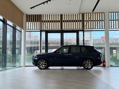 Rolls-Royce Cullinan 2018 Four-Seater - ფოტო 5