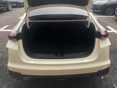 Trumpchi Yingbao 2021 270T DCT J15 - ფოტო 15