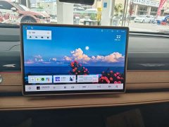 Geely Galaxy Xingyao 8 130km EM-i Flagship - ფოტო 12