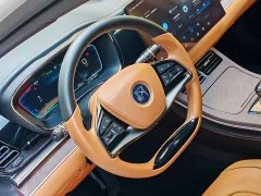 BYD Han EV Genesis Edition 715KM FWD Flagship - ფოტო 7