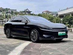 BYD Han EV Champion Edition 506KM FWD Luxury - ფოტო 13