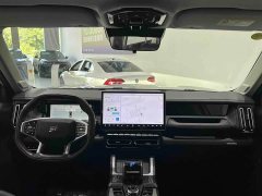 Jetour Jietu Shanhai T1 150km Xianghai - ფოტო 9