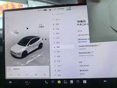 Tesla Model Y Rear-Wheel Drive - ფოტო 16