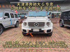 Mercedes-Benz G-Class G 450 d Korean Spec - ფოტო 2