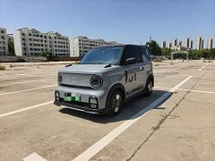 Geely Panda 200km Panda Kart - ფოტო 1