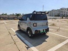 Geely Panda 200km Panda Kart - ფოტო 10