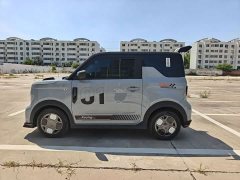 Geely Panda 200km Panda Kart - ფოტო 11