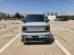 Geely Panda 200km Panda Kart - ფოტო 2