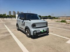 Geely Panda 200km Panda Kart - ფოტო 3