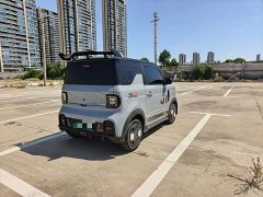 Geely Panda 200km Panda Kart - ფოტო 8