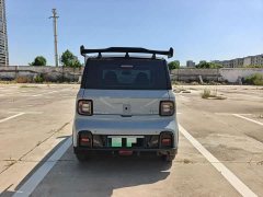 Geely Panda 200km Panda Kart - ფოტო 9