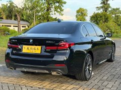 BMW 5 Series 530Li Premier M Sport Package - ფოტო 20