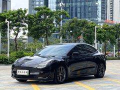 Tesla Model 3 Standard Range RWD Upgrade - ფოტო 1