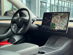Tesla Model 3 Standard Range RWD Upgrade - ფოტო 12