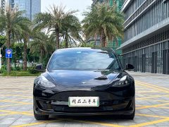 Tesla Model 3 Standard Range RWD Upgrade - ფოტო 2