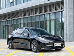 Tesla Model 3 Standard Range RWD Upgrade - ფოტო 3