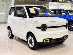 Geely Panda 2025 Panda Mini 210km Vitality Edition - ფოტო 3