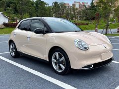 ORA Good Cat 400km Standard Range Muse Edition LFP Battery - ფოტო 3