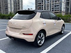 ORA Good Cat 400km Standard Range Muse Edition LFP Battery - ფოტო 9