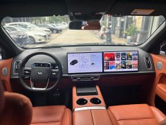 Li Auto L9 2022 Max - ფოტო 9