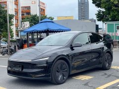 Tesla Model Y Rear-Wheel Drive - ფოტო 1