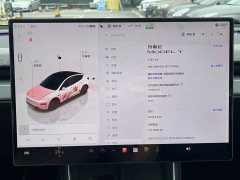 Tesla Model Y Rear-Wheel Drive - ფოტო 10