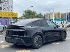 Tesla Model Y Rear-Wheel Drive - ფოტო 11