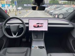 Tesla Model Y Rear-Wheel Drive - ფოტო 6