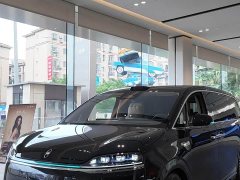 Luxeed Zhiji V9 Max - ფოტო 1