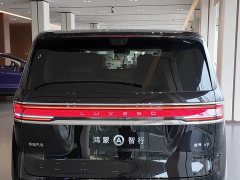 Luxeed Zhiji V9 Max - ფოტო 4