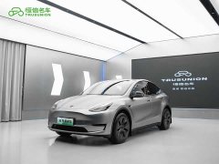 Tesla Model Y Rear-Wheel Drive - ფოტო 1
