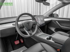 Tesla Model Y Rear-Wheel Drive - ფოტო 12