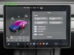Tesla Model Y Rear-Wheel Drive - ფოტო 18