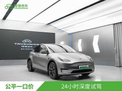 Tesla Model Y Rear-Wheel Drive - ფოტო 3
